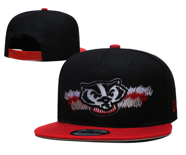 Wisconsin Badgers Stitched Snapback Hats 004